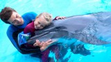 Дельфинотерапия лечит нервные расстройства Дельфинотерапия лечит нервные расстройства