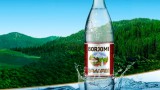 Минеральная вода «Боржоми» лечит заболевания желудочно-кишечного тракта